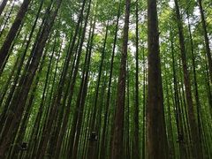 -山王坪喀斯特国家生态公园