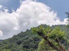 -石台牯牛降景区
