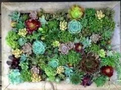 -兰陵国家农业公园