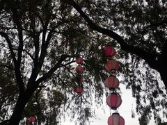 -宝墨园景区