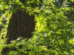 -杭州半山国家森林公园