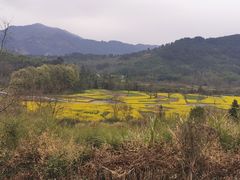 -塔川景区