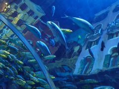 -华夏文旅海洋公园