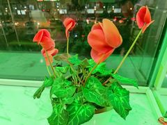 -峨嵋酒家(清河店)