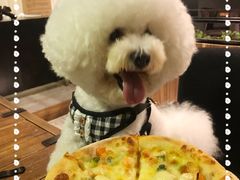 -百好乐宠物友好餐厅(朝外大街店)