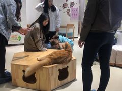 -藏猫猫咖啡主题馆(中央大道店)