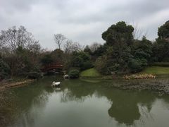 -桃花岛景观公园