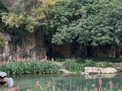 -成都市活水公园