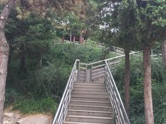 -黄村公园