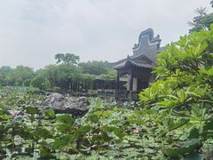 -粤晖园