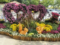 -上海共青森林公园