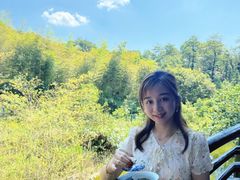 -大唐贡茶院