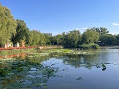 -三忘湖 SWANSEEN(柳荫公园店)