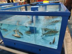 -麦德龙(浦东店)