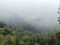 -沐川竹海旅游景区