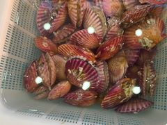 -萃华海鲜阁大排档(五四广场店)