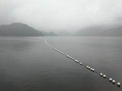-杭州千岛湖皇冠假日酒店大堂吧