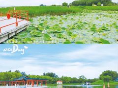 -黑龙江扎龙生态旅游区