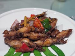 南澳铁盘鱿鱼-79号渔船海鲜饭店(岗厦店)