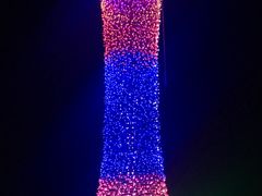 -广东花都香草世界旅游度假区