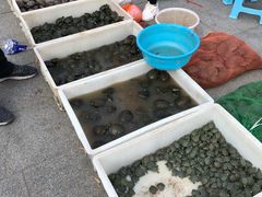-华声天桥民俗文化园