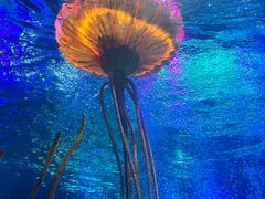 -沈阳海洋探索中心