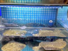 -前王院•巧克力海鲜市集餐厅(万平口店)