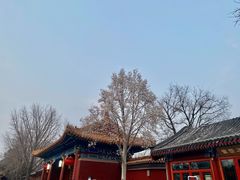 -百香林西点(西安门店)