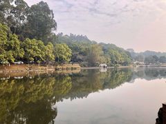 -三水森林公园