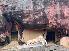 -无锡动物园·太湖欢乐园