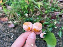 -中国大竹海景区