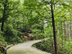 -波尔登森林公园