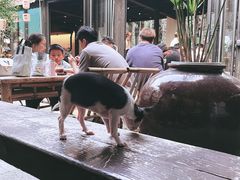 -Metal hands·铁手咖啡