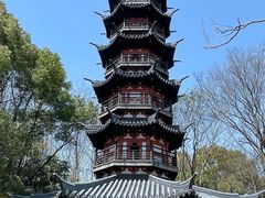 -上海佘山国家森林公园西佘山园