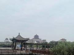 -莲花池公园