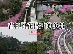 -关岳庙
