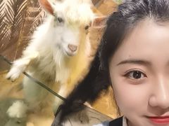 -苏州海洋馆