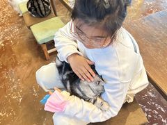 -猫猫幼稚园·撸猫·桌游·电玩