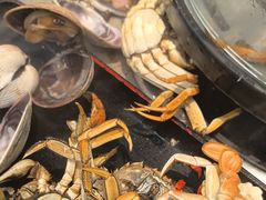 -乔哥铭洋海鲜自助(皇城恒隆广场店)