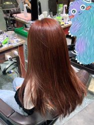 -salon漫