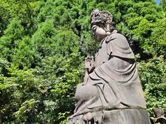 -武陵山森林公园