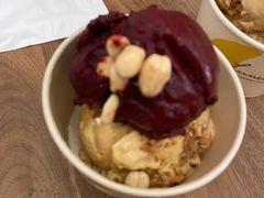 黑加仑咸花生-LUNEURS月乐诗·法式冰淇淋(环贸店)