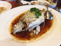 -龙悦湾酒家·八阵鱼生·渔人码头店