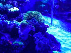 -上和臻品中国菜(花园街店)