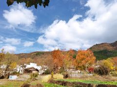 -塔川景区