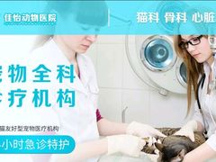 -佳怡动物医院·平价24小时·猫专科骨外科