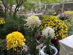 -杭州植物园