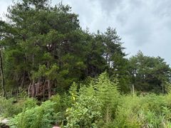 -鄣山大峡谷