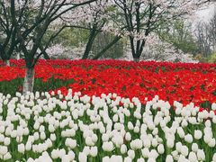 -灶丰年间(定安路店)