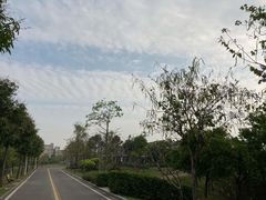 -广东花都湖国家湿地公园